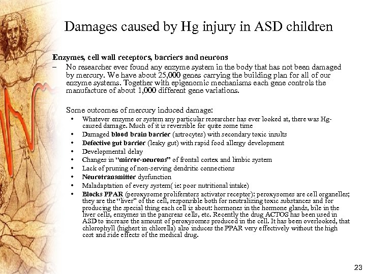 Damages caused by Hg injury in ASD children Enzymes, cell wall receptors, barriers and