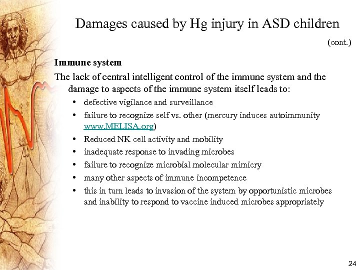 Damages caused by Hg injury in ASD children (cont. ) Immune system The lack