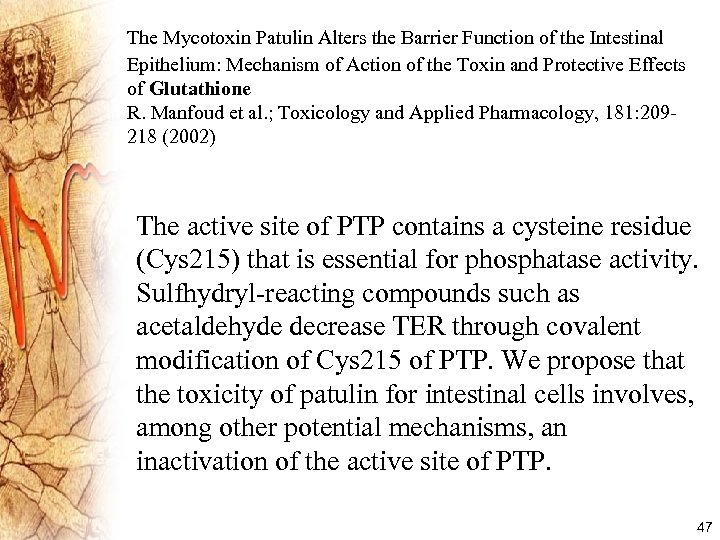 The Mycotoxin Patulin Alters the Barrier Function of the Intestinal Epithelium: Mechanism of Action