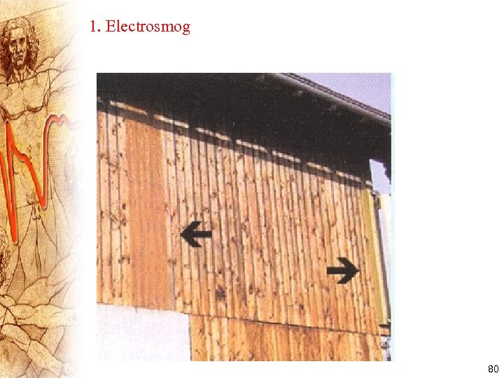 1. Electrosmog 80 