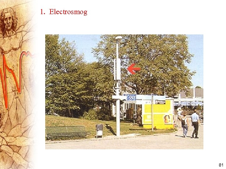 1. Electrosmog 81 