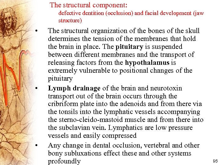 The structural component: defective dentition (occlusion) and facial development (jaw structure) • • •