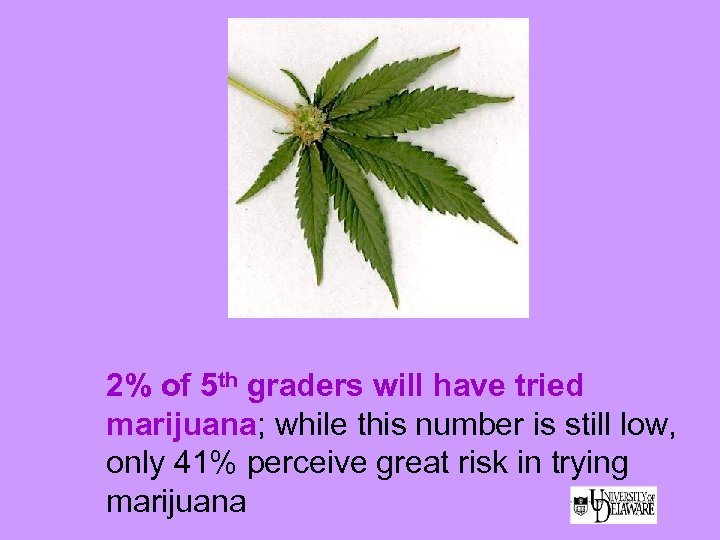 2% of 5 th graders will have tried marijuana; while this number is still