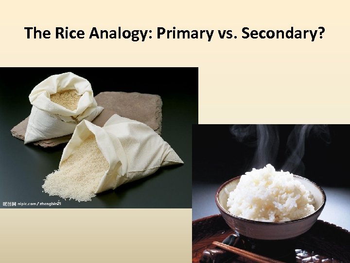 The Rice Analogy: Primary vs. Secondary? 