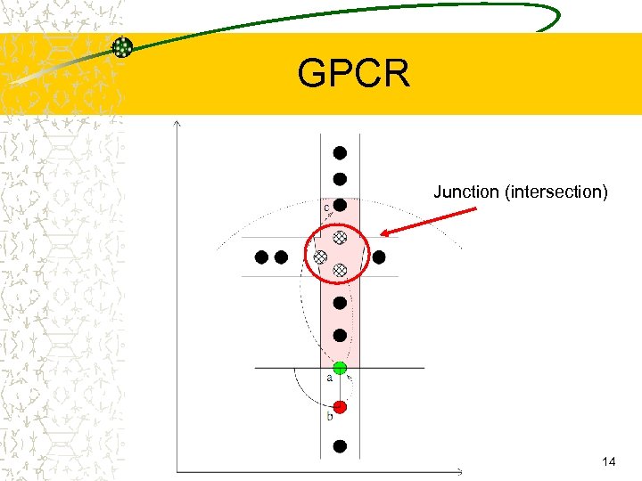 GPCR Junction (intersection) 14 