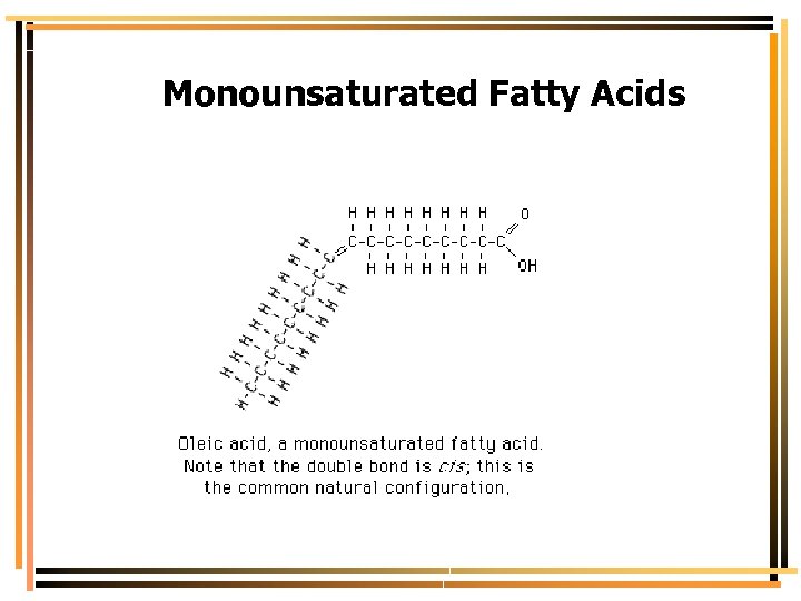 Monounsaturated Fatty Acids 