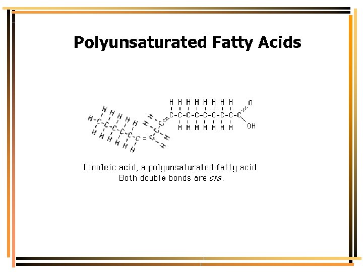 Polyunsaturated Fatty Acids 