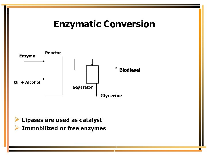 Enzymatic Conversion Enzyme Reactor Biodiesel Oil + Alcohol Separator Glycerine Ø Lipases are used