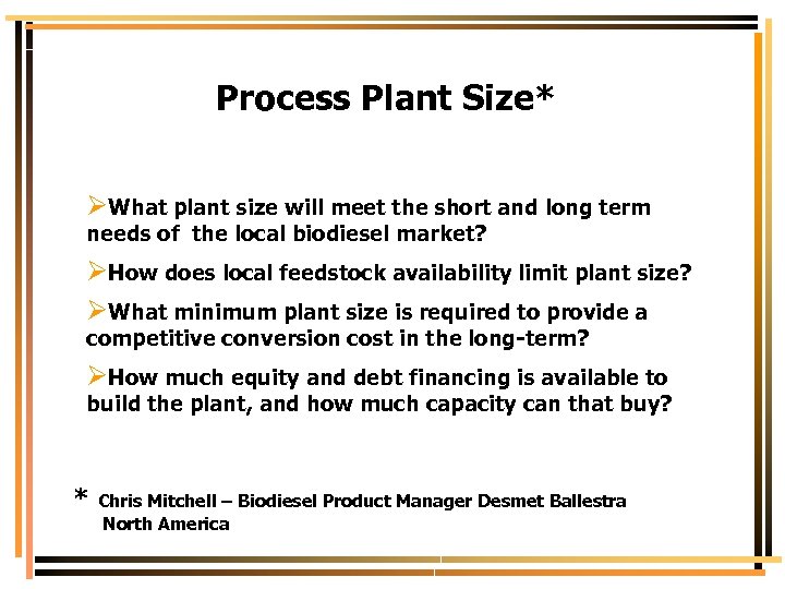 Process Plant Size* ØWhat plant size will meet the short and long term needs