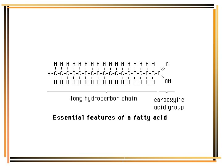 Fatty Acid Molecular Structure 