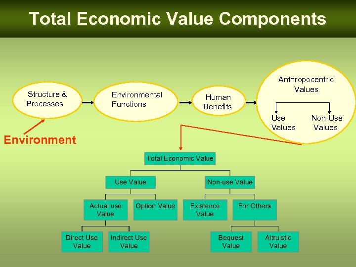 Total Economic Value Components Structure & Processes Environmental Functions Environment Human Benefits Anthropocentric Values