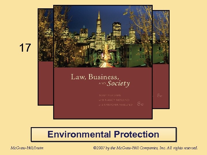 17 Environmental Protection Mc. Graw-Hill/Irwin © 2007 by the Mc. Graw-Hill Companies, Inc. All