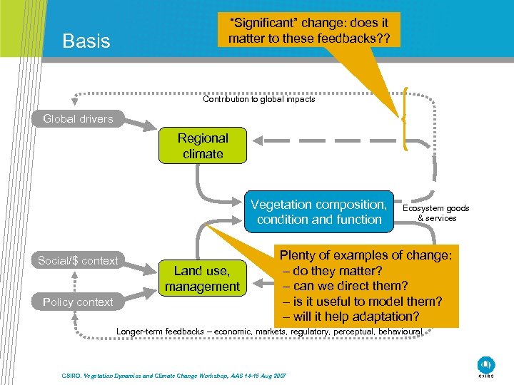 “Significant” change: does it matter to these feedbacks? ? Basis Contribution to global impacts