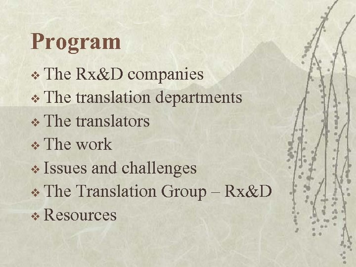 Program v The Rx&D companies v The translation departments v The translators v The