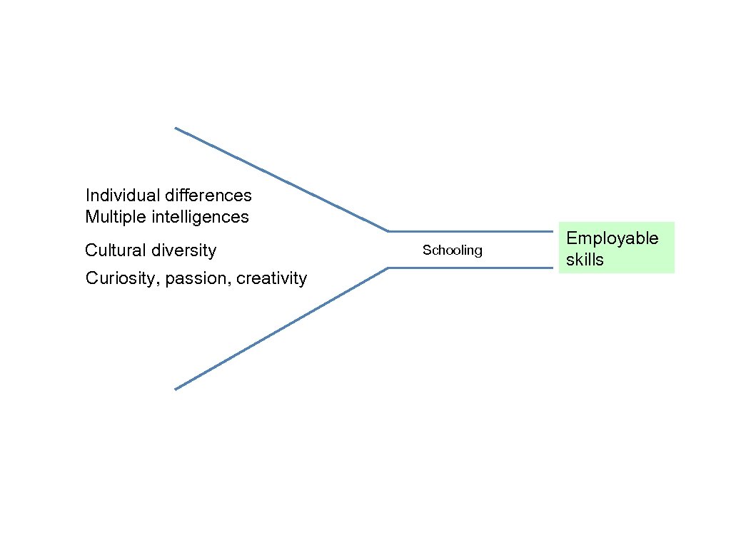 Individual differences Multiple intelligences Cultural diversity Curiosity, passion, creativity Schooling Employable skills 