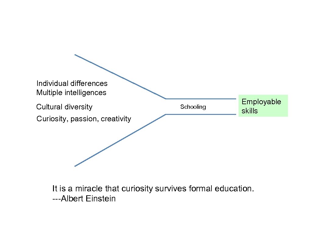 Individual differences Multiple intelligences Cultural diversity Curiosity, passion, creativity Schooling Employable skills It is
