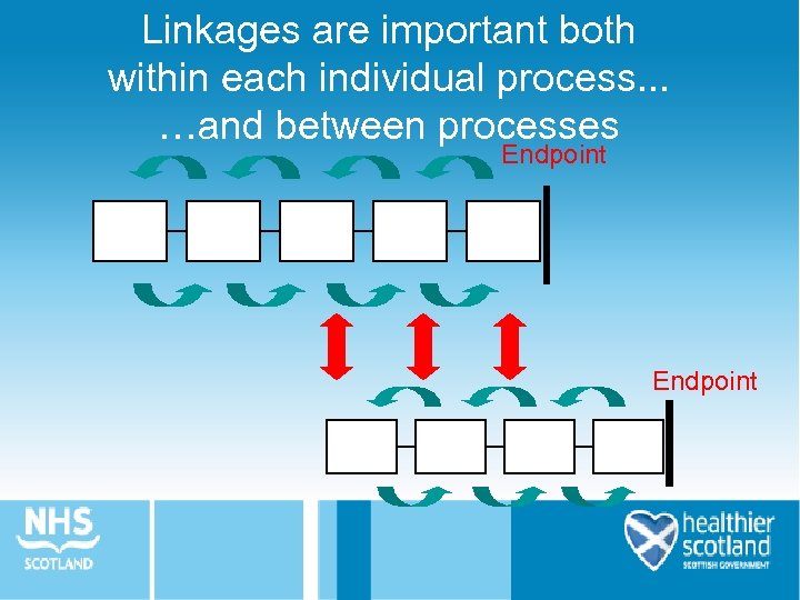 Linkages are important both within each individual process. . . …and between processes Endpoint