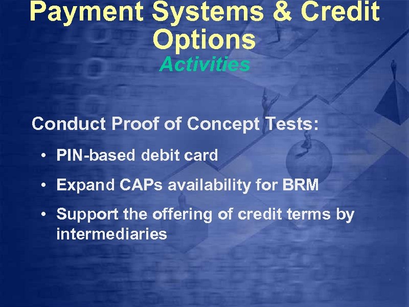 Payment Systems & Credit Options Activities Conduct Proof of Concept Tests: • PIN-based debit