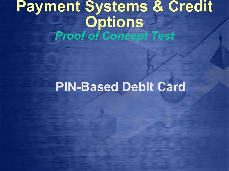 Payment Systems & Credit Options Proof of Concept Test PIN-Based Debit Card 