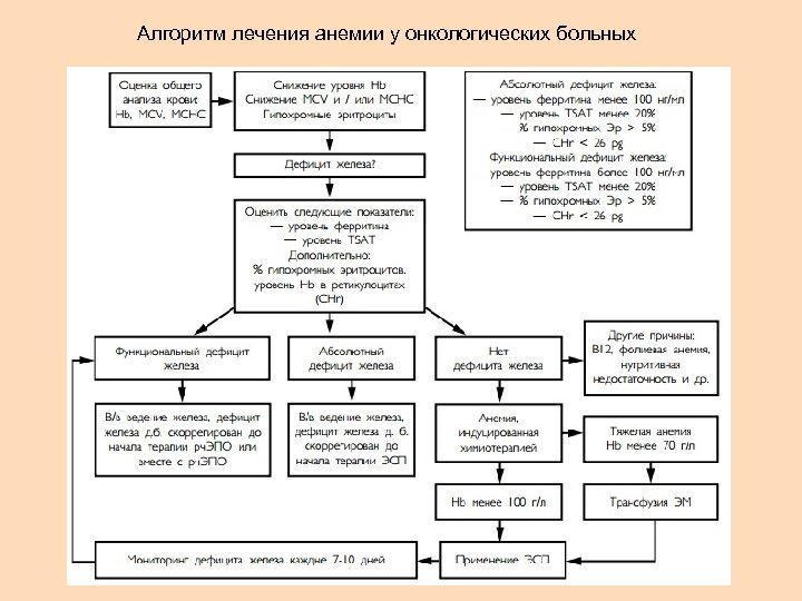 Алгоритм лечения. Анемия диагностический алгоритм. Алгоритм диагностики железодефицитной анемии. Диагностический алгоритм диагностики анемии. Алгоритм лечения железодефицитной анемии.