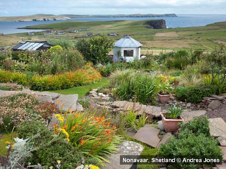 Nonavaar, Shetland © Andrea Jones 