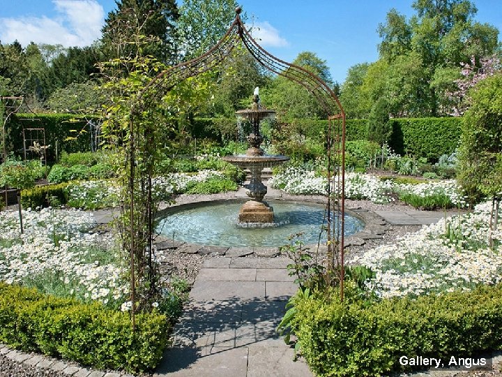 Gallery, Angus Cedar Cottage, Craigrothie 