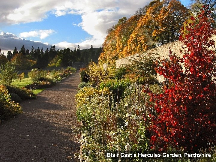 Blair Castle Hercules Garden, Perthshire Willowhill, Fife 