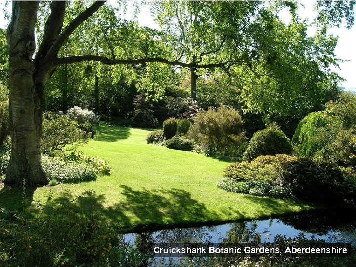 Cruickshank Botanic Gardens, Aberdeenshire 