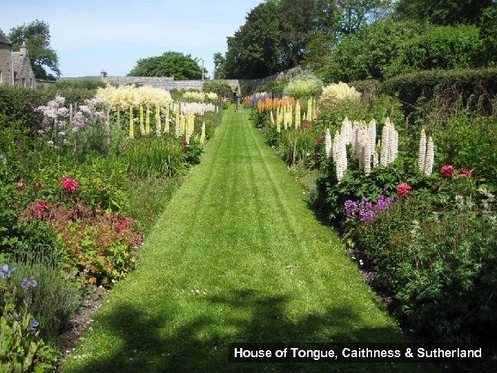 House of Tongue, Caithness & Sutherland 