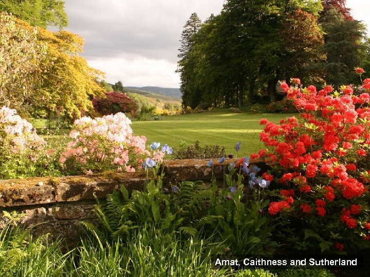 Amat, Caithness and Sutherland 