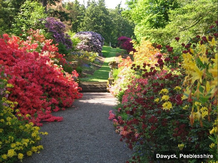 Dawyck, Peeblesshire Aytounhill, Fife 