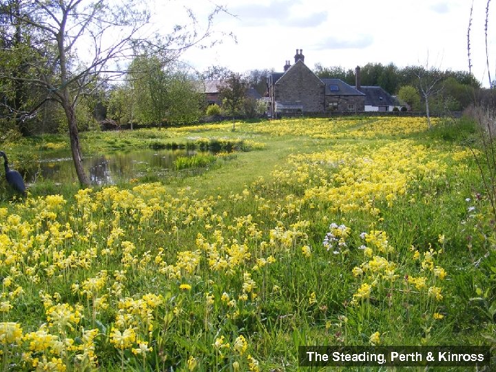 The Steading, Perth & Kinross 