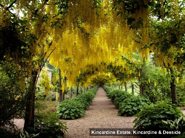 Kincardine Estate, Kincardine & Deeside 