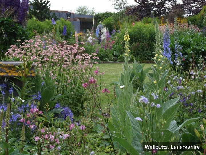 Wellbutts, Lanarkshire 