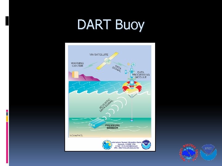 DART Buoy 