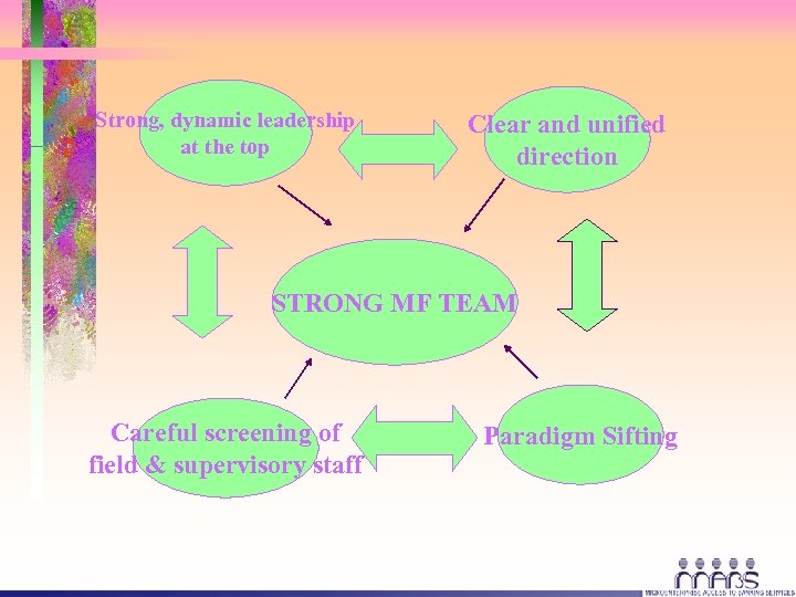 Strong, dynamic leadership at the top Clear and unified direction STRONG MF TEAM Careful