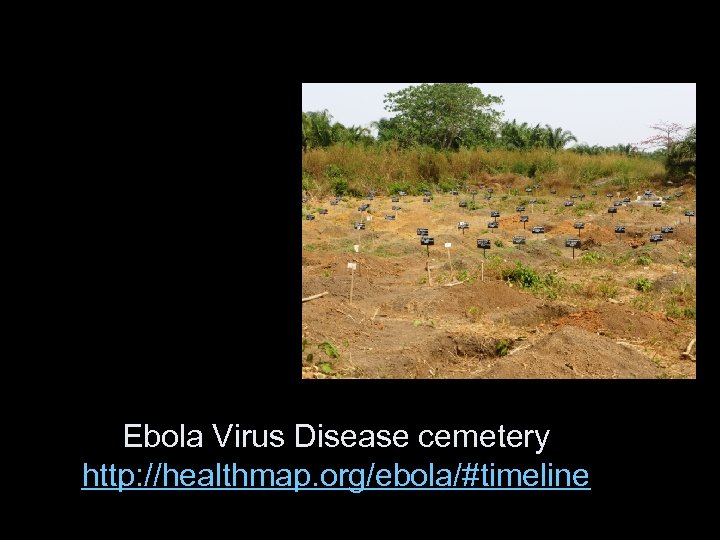Ebola Virus Disease cemetery http: //healthmap. org/ebola/#timeline 