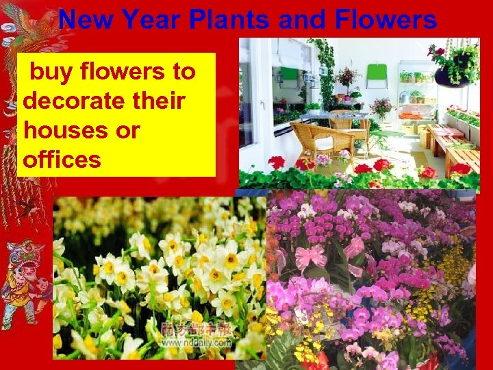 New Year Plants and Flowers buy flowers to decorate their houses or offices 