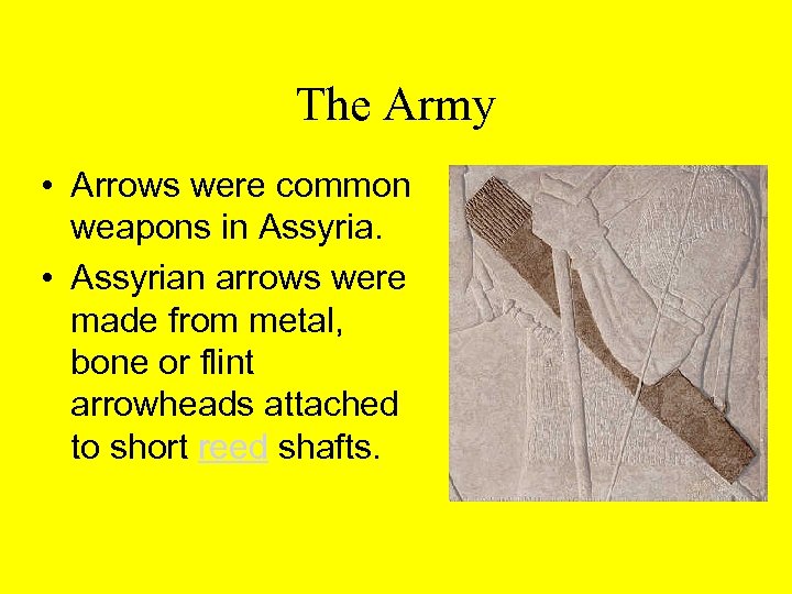 The Army • Arrows were common weapons in Assyria. • Assyrian arrows were made