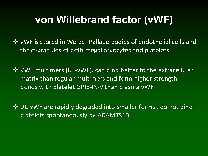 von Willebrand factor (v. WF) v v. WF is stored in Weibel-Pallade bodies of