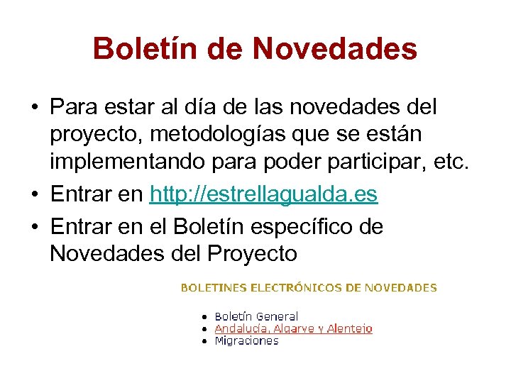 Boletín de Novedades • Para estar al día de las novedades del proyecto, metodologías