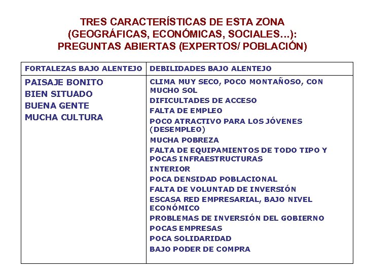 TRES CARACTERÍSTICAS DE ESTA ZONA (GEOGRÁFICAS, ECONÓMICAS, SOCIALES…): PREGUNTAS ABIERTAS (EXPERTOS/ POBLACIÓN) FORTALEZAS BAJO