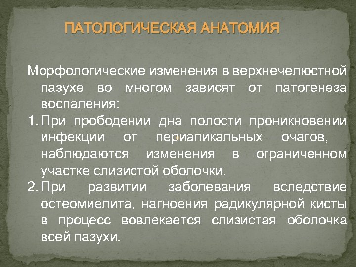ПАТОЛОГИЧЕСКАЯ АНАТОМИЯ Морфологические изменения в верхнечелюстной пазухе во многом зависят от патогенеза воспаления: 1.