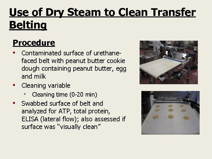 Use of Dry Steam to Clean Transfer Belting Procedure • Contaminated surface of urethane-