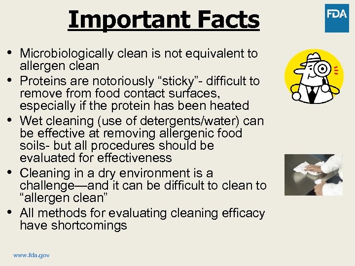 Important Facts • • • Microbiologically clean is not equivalent to allergen clean Proteins