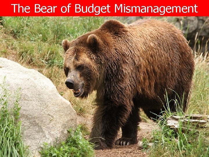 The Bear of Budget Mismanagement The Bear of Budge Mismanagement 