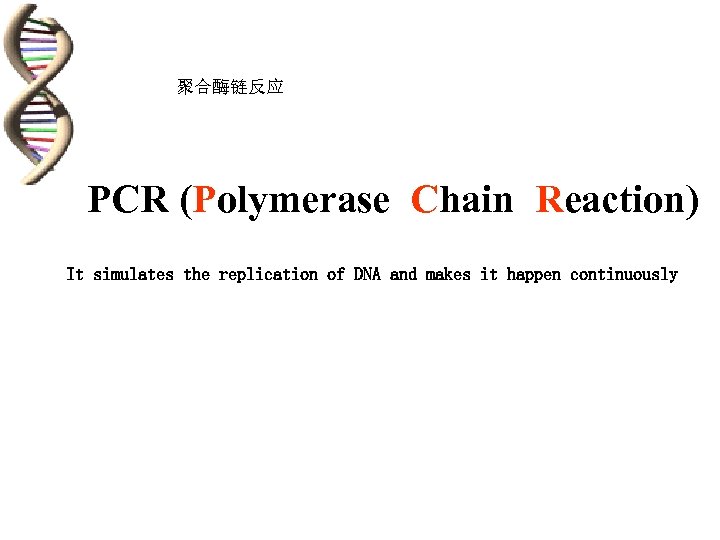 聚合酶链反应 PCR (Polymerase Chain Reaction) It simulates the replication of DNA and makes it