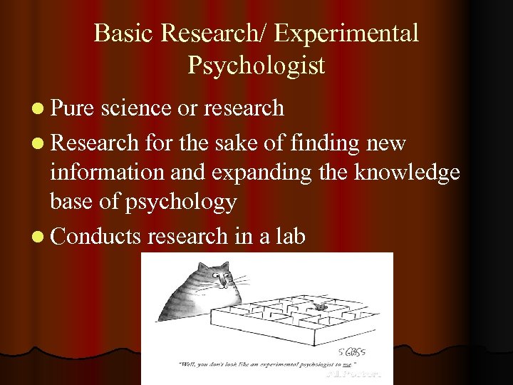 Basic Research/ Experimental Psychologist l Pure science or research l Research for the sake