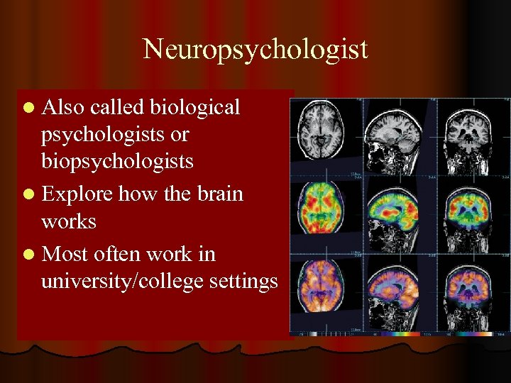 Neuropsychologist l Also called biological psychologists or biopsychologists l Explore how the brain works