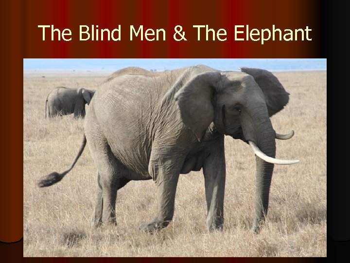 The Blind Men & The Elephant 